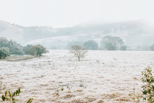 Alerta para a chegada de uma massa de ar polar na próxima semana. Risco de geadas abrangentes e potencial para neve na Região Sul