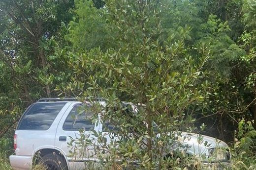 Furtado em Matão. Chevrolet Blazer estava abandonado em uma área de vegetação em Guariba