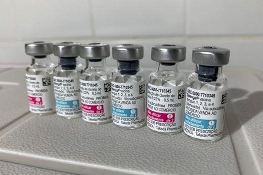 Vacina contra a dengue. Imunizante Qdenga foi aprovado em comissão técnica