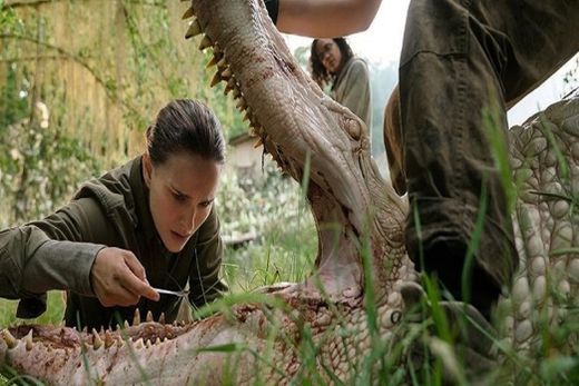 Natalie Portman em cena de "Aniquilação", filme disponível na Netflix