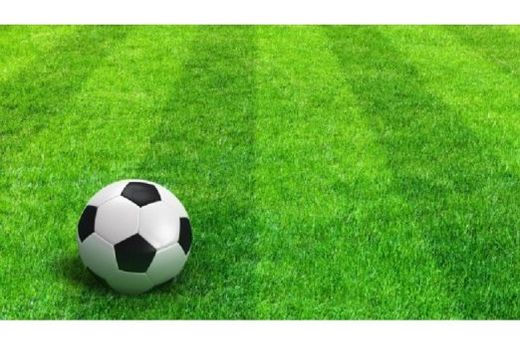 Torneios internos de futebol (minicampo) serão realizados em cinco categorias