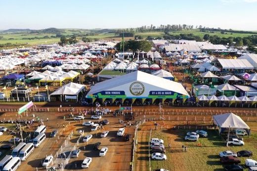 Cerca de 800 marcas expositoras. Expectativa é de que a Agrishow 2024 receba mais de 195 mil visitantes de todo o Brasil e de mais de 50 países, num espaço de 520 mil m²