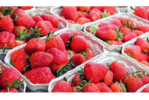 Diversos alimentos feitos com morango serão oferecidos no evento