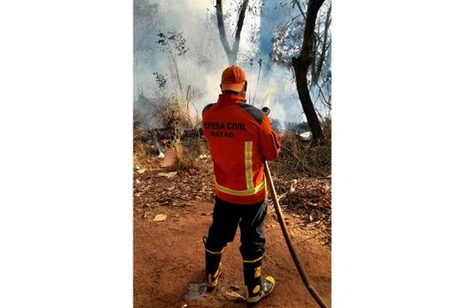 Em julho, Defesa Civil combateu 12 incêndios em vegetação