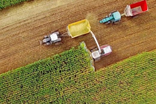 Balança comercial do agronegócio paulista de janeiro a julho.  Aumento foi de quase 10% em relação ao mesmo período de 2023