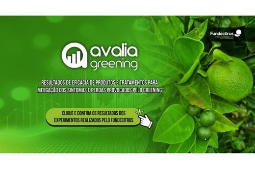 Avalia Greening é a nova ferramenta do Fundecitrus