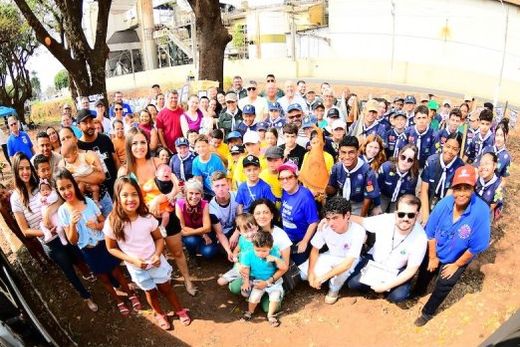 Reposição. Plantio ocorreu entre a ponte da Marginal São Lourenço com a Avenida Laert José Tarallo Mendes e o semáforo de acesso ao Jardim São José e outros bairros