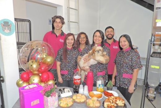 Equipes Laly Estética Animal e Casale Pet. Leonardo Geraldo, Doris Duarte, Ana Flávia Santos, Fabiana Alberto e Bethânia, Wesley da Silva e Maria Alejandra Duarte