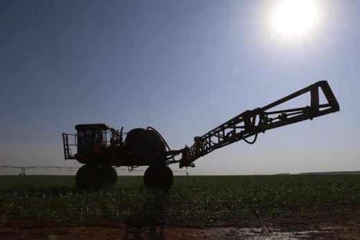 De janeiro a setembro. Exportação do agro paulista atingiu 18% do total nacional