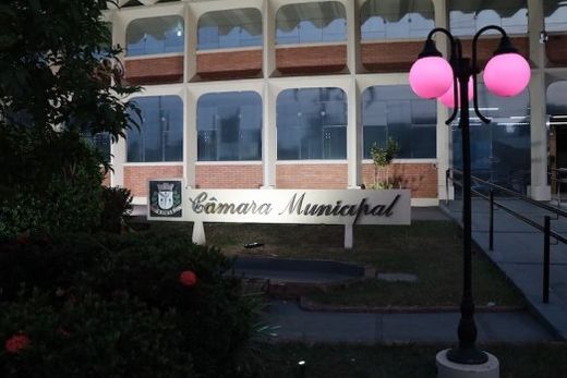 A Câmara Municipal. Fachada do prédio permanecerá iluminada com luzes na cor rosa até o final de outubro