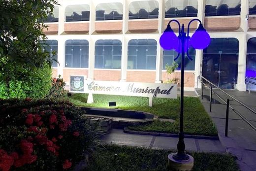 No mês de novembro. Luzes azuis iluminam a Câmara