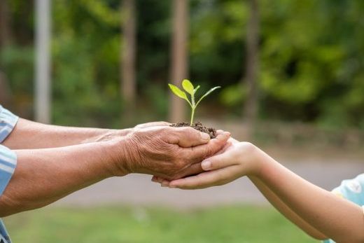 Comemorado todo dia 5 de dezembro. A Citrosuco participa do Desafio Voluntário desde 2018
