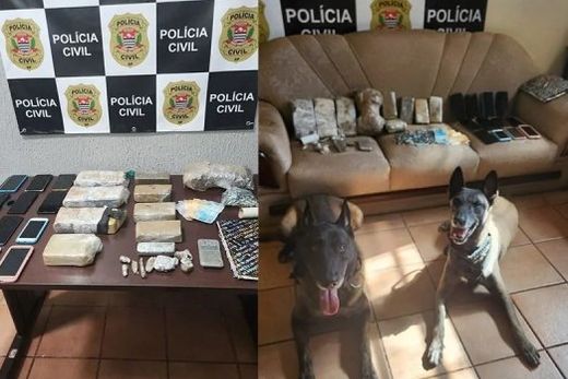 Em Dobrada. Drogas, munições e celulares foram apreendidos na quarta-feira (11)