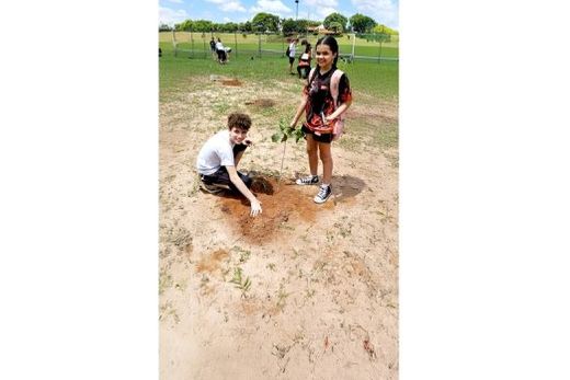 Mãos na terra. Estudantes plantaram as mudas de ipê atrás da quadra externa do Sesi-Matão