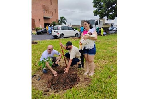 Em dezembro. O 208º plantio aconteceu no canteiro central do prolongamento da Avenida Trolesi (Park Mônaco)