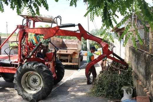 Galhos provenientes de podas de árvores são recolhidos nos bairros conforme cronograma anunciado