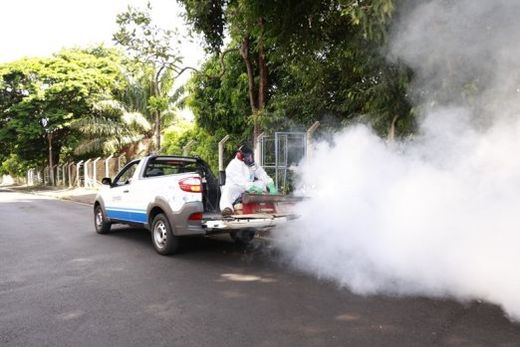 Nebulização veicular com aplicação de inseticida está entre as atividades que serão realizadas
