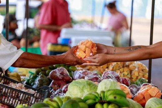 Alimentos frescos, produzidos diretamente pela agricultura familiar, são comercializados na feira