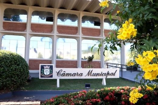 Câmara Sênior. Projeto será realizado em ciclos anuais, com encontros presenciais mensais na sede da Câmara Municipal