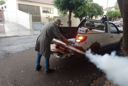 Nebulização veicular com aplicação de inseticida está entre as atividades que serão realizadas