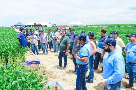 Oportunidade. Produtores conheceram as novidades e aplicações diretamente na lavoura