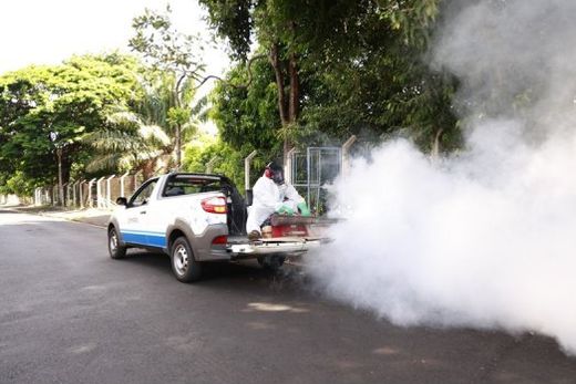 Nebulização veicular com aplicação de inseticida está entre as atividades que serão realizadas