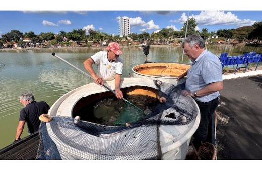 'Vai fisgar!'. Foram soltos no lago do Parque Ecológico cerca de 2 toneladas de peixes (pacu e tilápia)