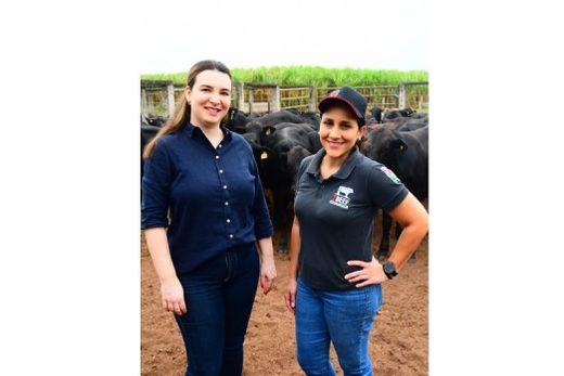 Maira Gaspar e Laís Jacopini. Mais do que incentivar a participação feminina, a empresa busca criar condições para que cada colaborador possa entregar o seu melhor