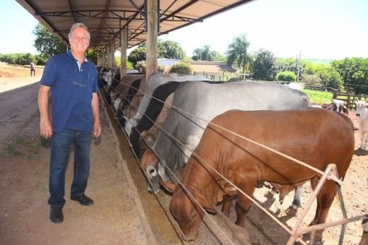 No Sítio Cachoeira de São Lourenço. Além de outras propriedades, é de lá que também vem a carne comercializada no Supermercado Mortari