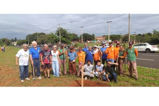 No Canteiro Central da Avenida Trolesi (Portal Terra da Saudade). O próximo plantio será realizado no Parque Ecológico 'Laert José Tarallo Mendes', no dia 31