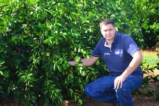 Victor Hugo da Silva, no Sítio Alvorada. São 20 mil pés de limão-taiti em 60 hectares