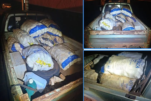 Veículo transportava cerca de 200 quilos de laranjas furtadas