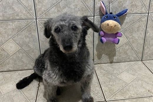 Jessy está sendo procurada