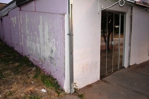 Ladrões fazem mais uma vítima na Avenida Trolesi