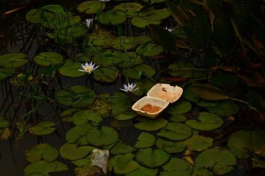 Chegada da primavera no Rio São Lourenço