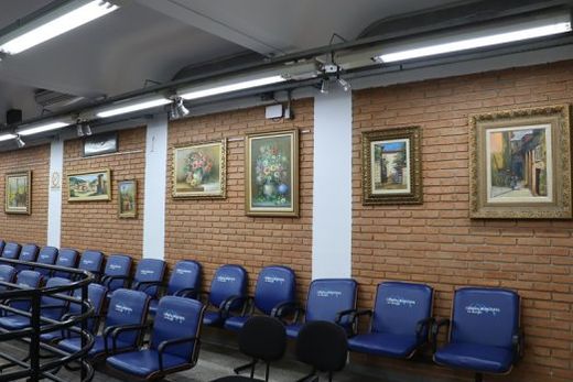 No plenário da Câmara.  Exposição pode ser visitada gratuitamente no Espaço Cultural Maria José Bozelli Ciarlo