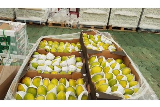Preparações de frutas. Setor foi fortemente afetado pelo tarifaço