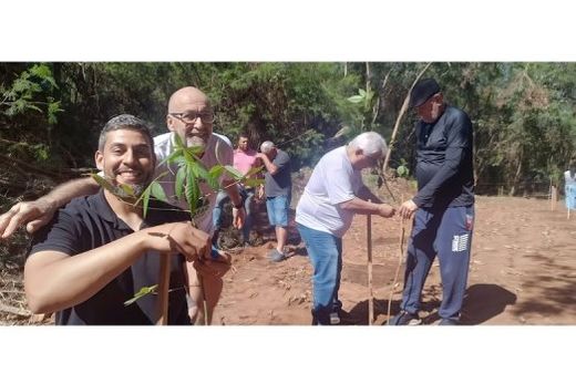 No Viveiro Municipal. Mudas foram cedidas e infraestrutura foi disponibilizada pela Prefeitura de Matão