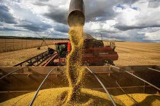 O volume obtido na colheita de grãos no atual ciclo representa uma alta de 16,3% sobre a temporada anterior