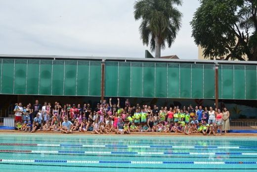 Festival Tubarema. Momento onde as crianças mostram aos pais e familiares o que aprendem nas aulas de natação
