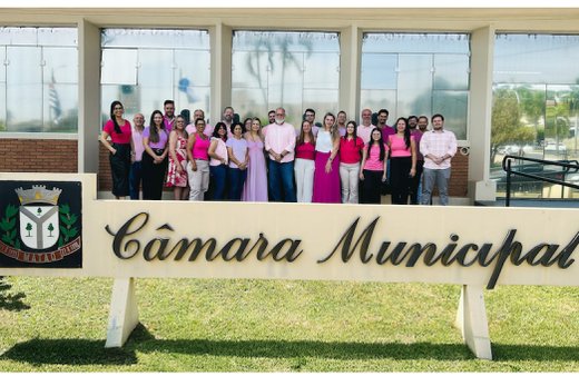 Engajamento. No último dia 2, servidores da Câmara Municipal se reuniram para a foto oficial da campanha contra o câncer de mama