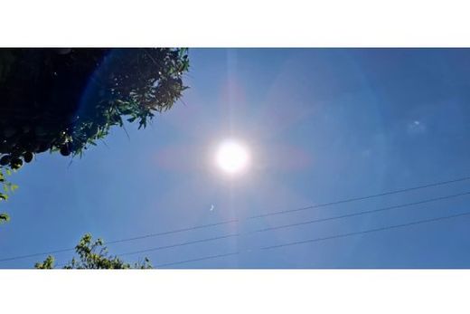 Previsão para esta segunda-feira (20) é de sol o dia todo, com céu limpo e temperaturas variando entre 12°C e 25°C