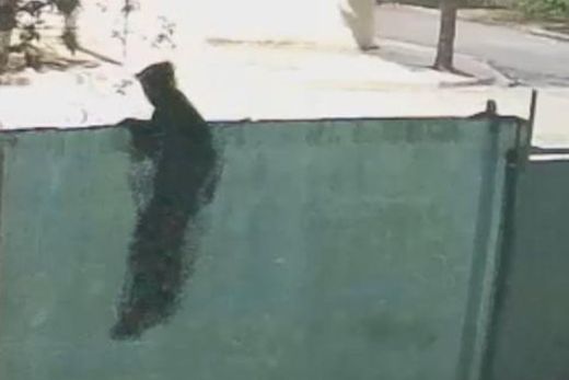 Criminoso pulou o portão e tentou levar cabos
