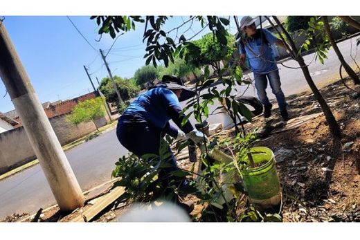 Durante as atividades, as equipes percorrem as ruas, visitam residências e orientam os moradores sobre os cuidados necessários