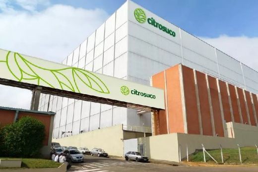 Citrosuco é uma das líderes em processamento de sucos e ingredientes de laranja no mundo