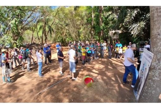 Próximo ao Viveiro Municipal. Foram plantadas 70 árvores para homenagear 68 crianças registradas em Matão no mês de setembro