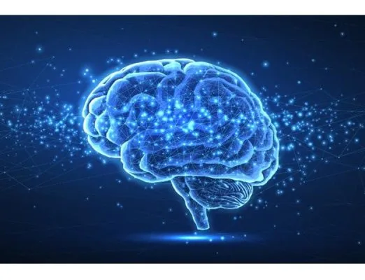 Objetivo é promover a conscientização, o aprendizado, a troca de experiências e a discussão sobre a Neurodiversidade