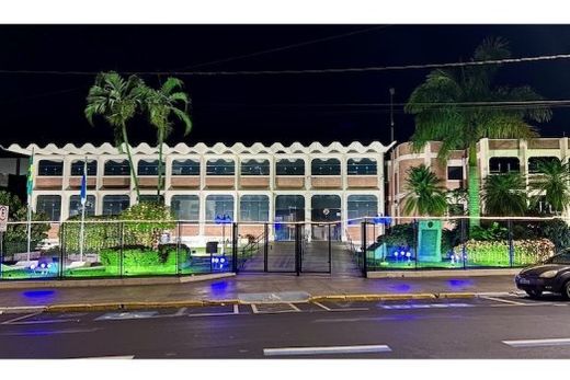 Em clima natalino. Decoração foi viabilizada por meio de doações e trabalho voluntário de servidores, colaboradores e amigos da Casa de Leis