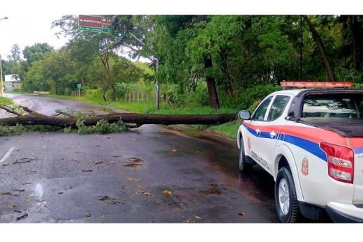 Defesa Civil. Em dezembro, equipe atuou na remoção de 16 árvores que caíram no município