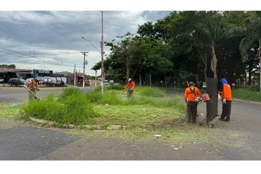 Roçagem. Prefeitura elaborou um cronograma de atendimento